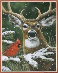 Deer With Cardinal | Obraz na stenu