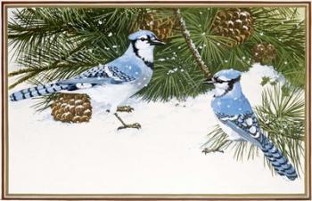 Bluejays | Obraz na stenu