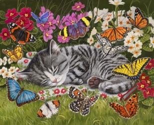 Blanket of Butterflies | Obraz na stenu