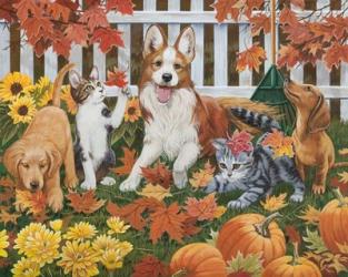 Puppies and Kittens - Autumn | Obraz na stenu