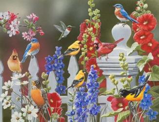 Birds - Spring & Summer | Obraz na stenu
