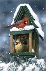Cardinals And Birdhouse In Snow | Obraz na stenu