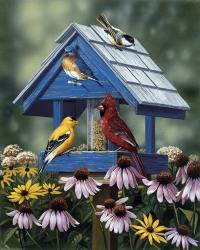 Birdhouse/Birds/Coneflower | Obraz na stenu