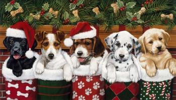 Christmas Puppies | Obraz na stenu