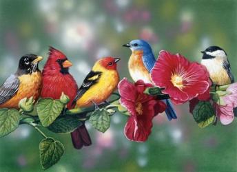 Songbirds On Hollyhock | Obraz na stenu