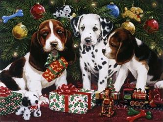 Christmas Puppies 2 | Obraz na stenu