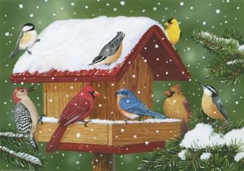 Backyard Birds, Holiday Treats | Obraz na stenu