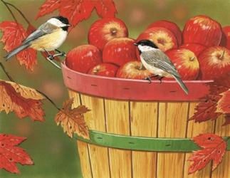 Apples In Basket With Chickadees | Obraz na stenu