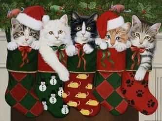 Christmas Kittens | Obraz na stenu