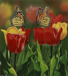Monarchs And Tulips | Obraz na stenu
