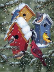 Winter Birdhouses | Obraz na stenu