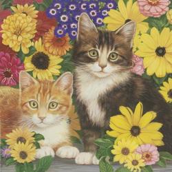 Kitties And Flowers | Obraz na stenu