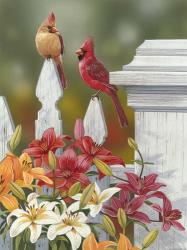 Lilies And Cardinals | Obraz na stenu
