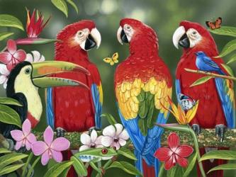 Tropical Friends | Obraz na stenu