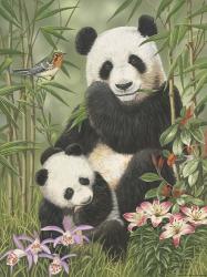 Panda Paradise | Obraz na stenu