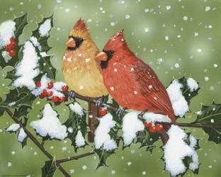 Wintery Cardinals | Obraz na stenu