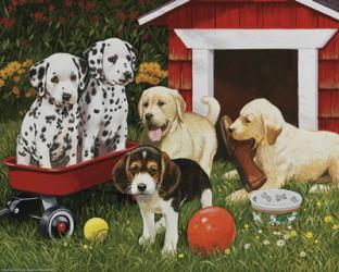 Puppy Playmates | Obraz na stenu
