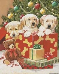 Holiday Puppies | Obraz na stenu