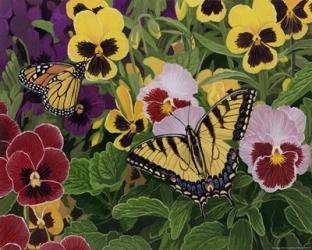 Butterflies And Pansies | Obraz na stenu
