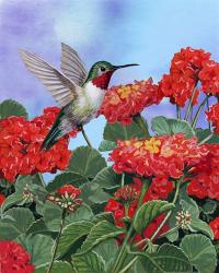 Hummingbird And Flower 2 | Obraz na stenu