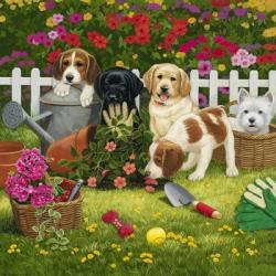 Garden Puppies | Obraz na stenu