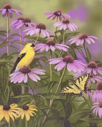 Butterfly & Finch Amongst Flowers | Obraz na stenu