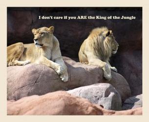 King of the Jungle Lion | Obraz na stenu