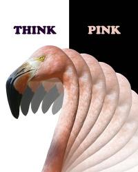 Think Pink Flamingo | Obraz na stenu