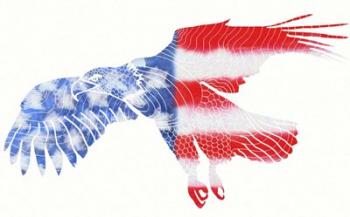 American Eagle Stars and Stripes | Obraz na stenu