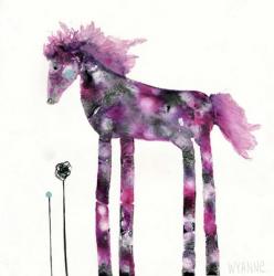 Pink Painted Pony | Obraz na stenu