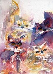 Four Kitties | Obraz na stenu