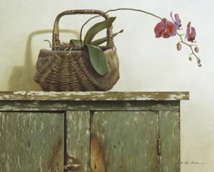 Orchid Basket | Obraz na stenu