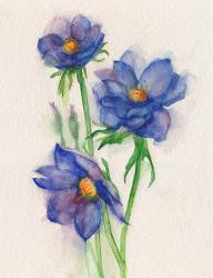 Blue Flowers | Obraz na stenu