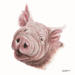 Penny the Pig | Obraz na stenu