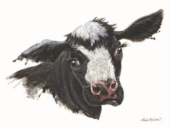 Daisy the Dairy Cow | Obraz na stenu