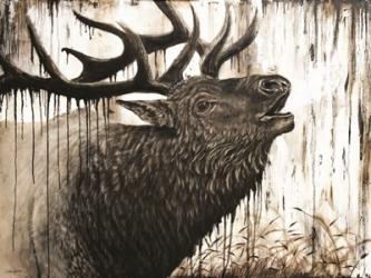 Bugling Bull Elk | Obraz na stenu