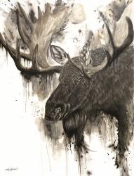 Bull Moose | Obraz na stenu