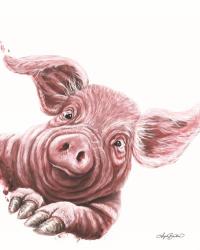 This Little Piggy's Toes | Obraz na stenu