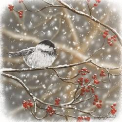 Snowberry Bird I | Obraz na stenu