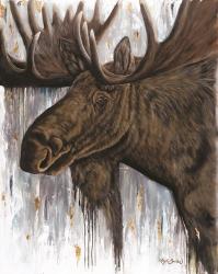 Brawny Bull | Obraz na stenu