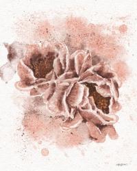 Pink Peonies | Obraz na stenu