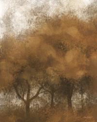 Autumn Time Trees | Obraz na stenu
