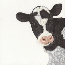 Cow | Obraz na stenu
