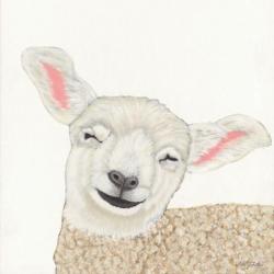 Smiling Sheep | Obraz na stenu