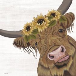 Sunflower Highland | Obraz na stenu