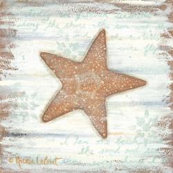 Ocean Starfish | Obraz na stenu