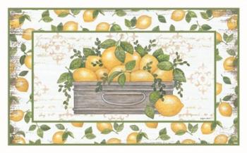 Lemon Galvanized Bucket | Obraz na stenu