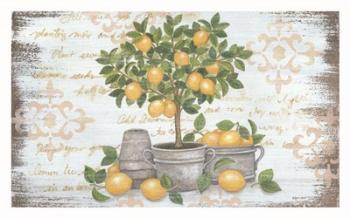 Lemon Topiary | Obraz na stenu