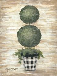Gingham Topiary Spheres | Obraz na stenu