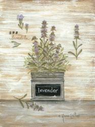 Lavender Botanical | Obraz na stenu